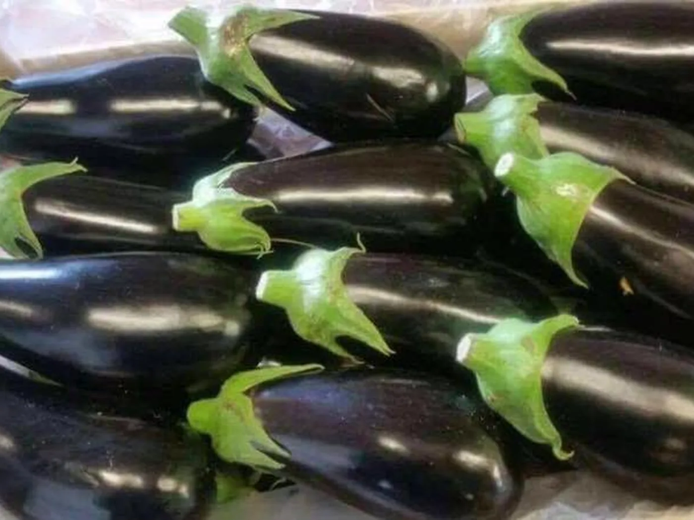 Fresh eggplants packed in a crate for export