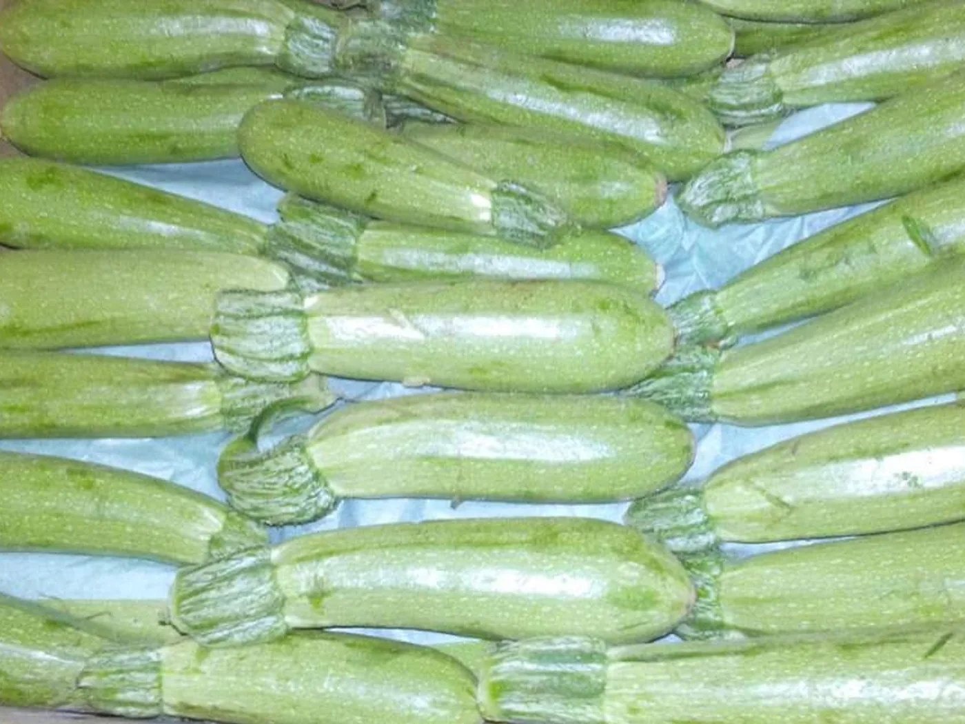 Fresh zucchini packed in a crate for export