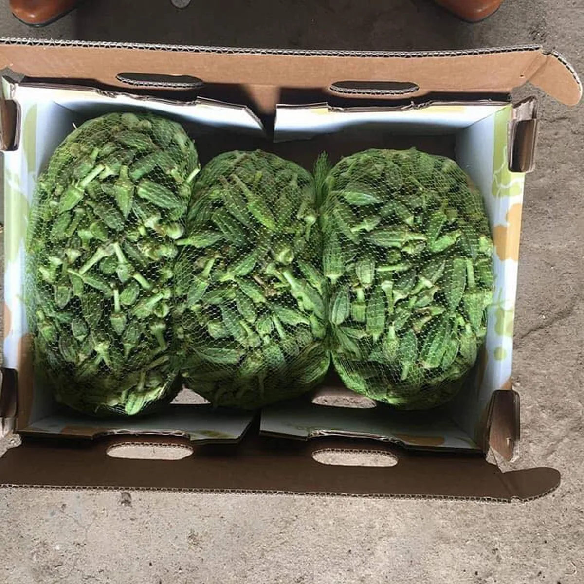Fresh cut spinach packed in an export carton