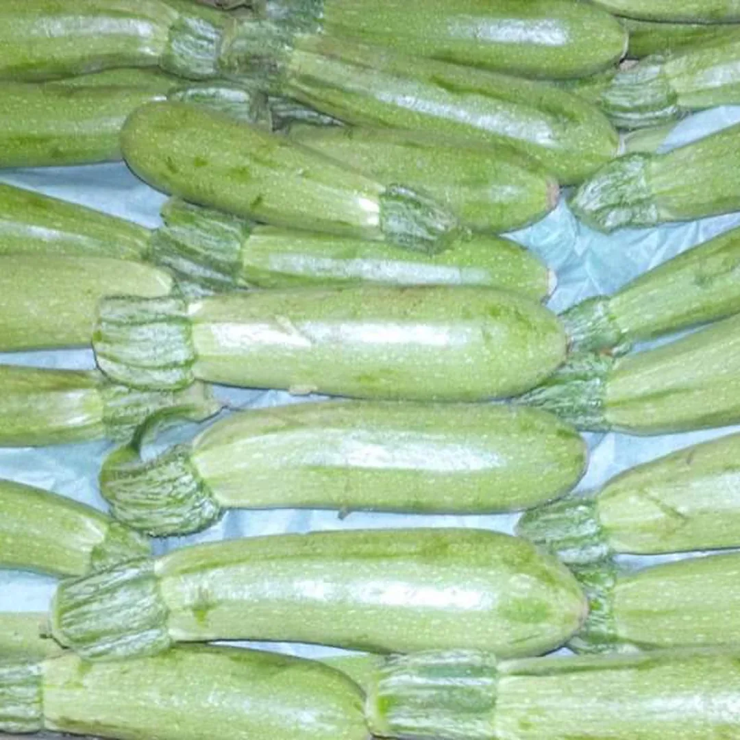 Fresh Egyptian zucchini packed in a crate